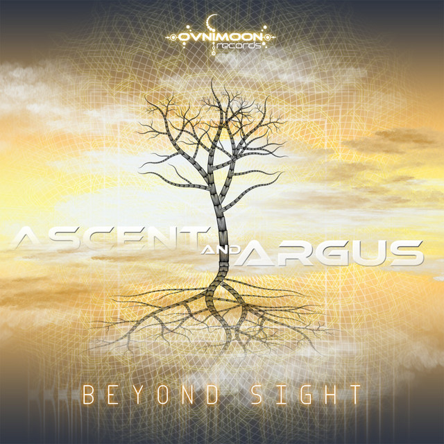 Beyond Sight cover art