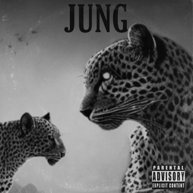 jung cover art
