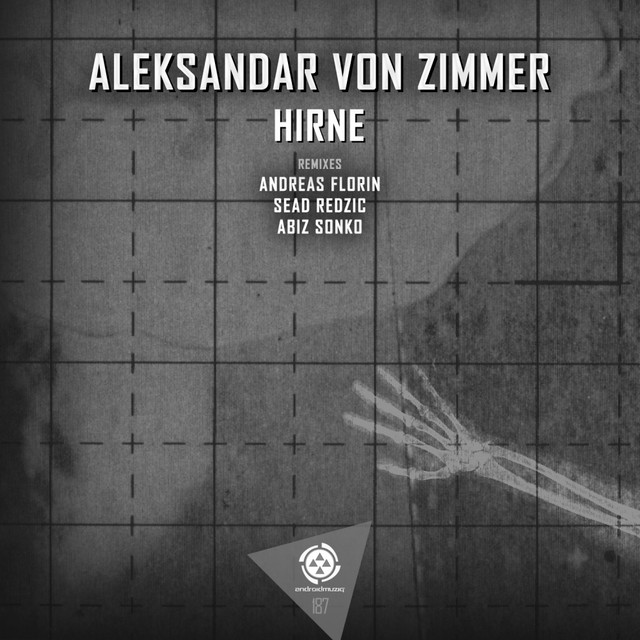 Hirne cover