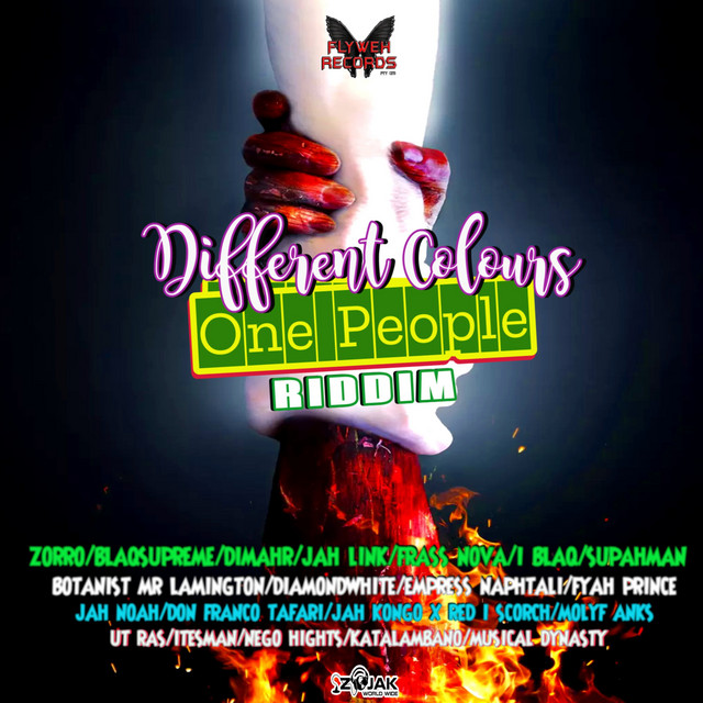 DIFFERENT COLOURS ONE PEOPLE RIDDIM cover art