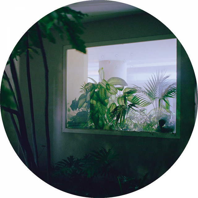 Haus am Pazifik album art