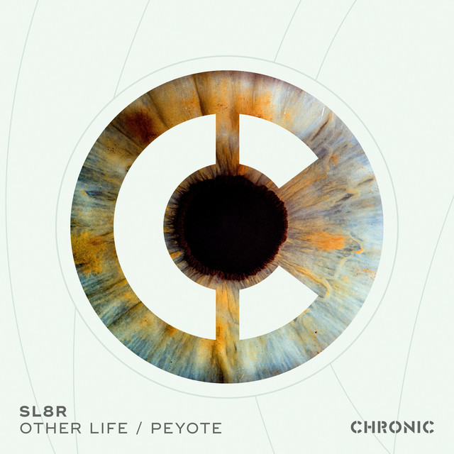 Other Life artwork