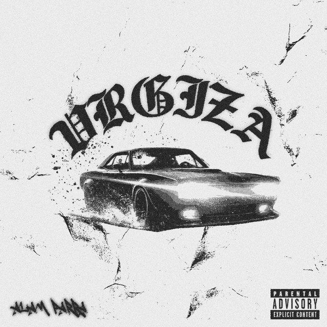 VRGIZA cover art