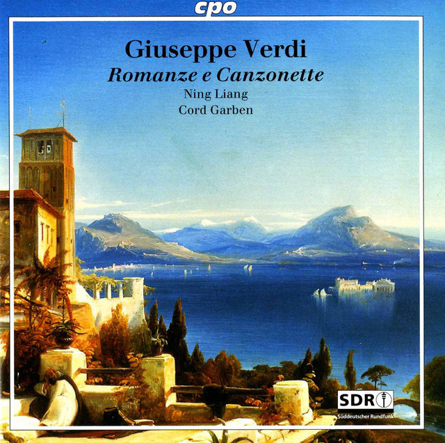 Il poveretto cover art