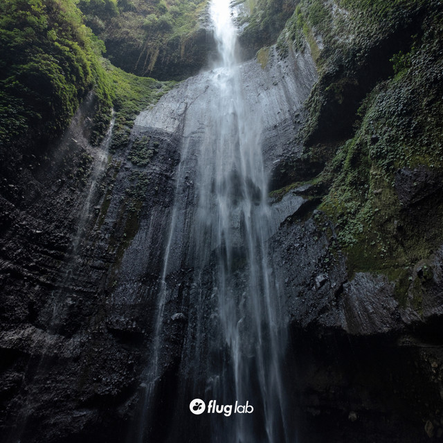 September album art