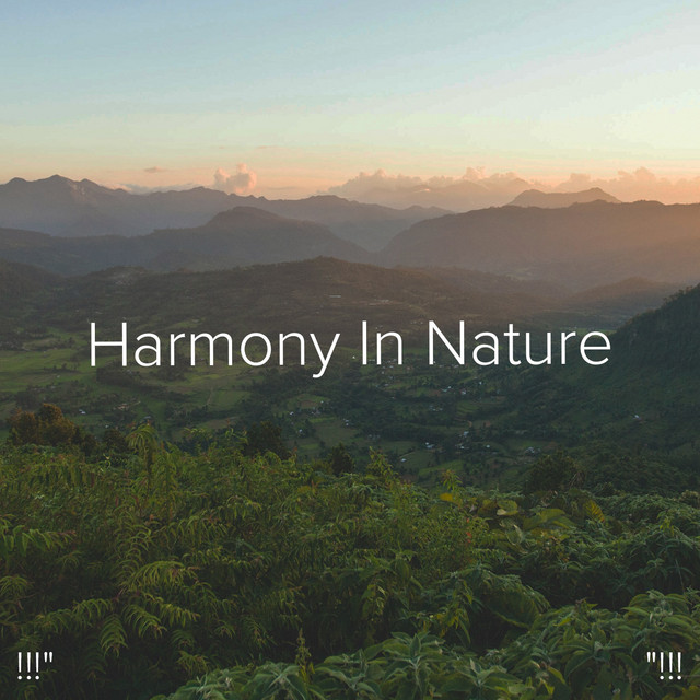 !!!" Harmony In Nature "!!! cover art