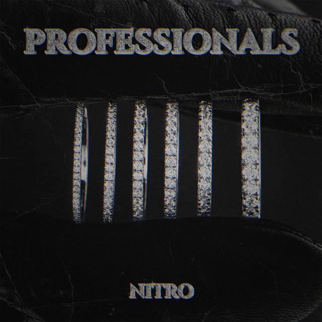 PROFESSIONALS cover art