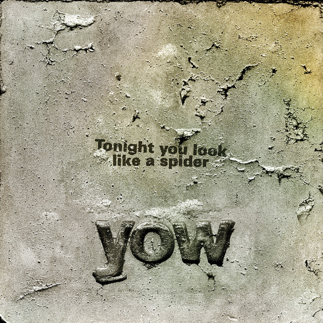 Tonight You Look Like A Spider cover art