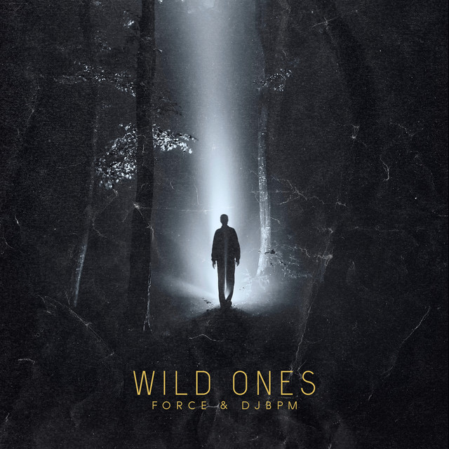 Wild Ones cover
