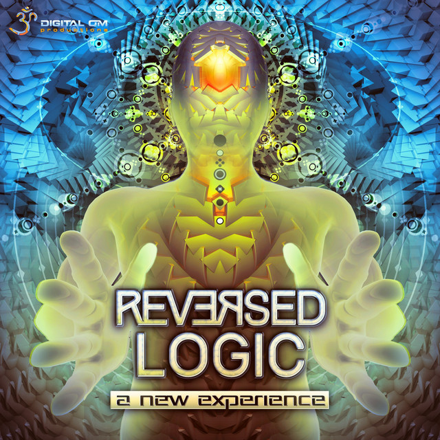 A New Experience album art