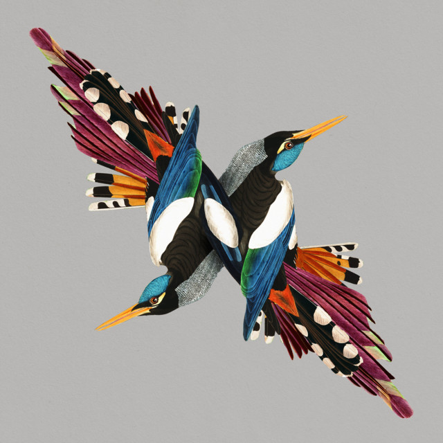 Blue Kiss cover art