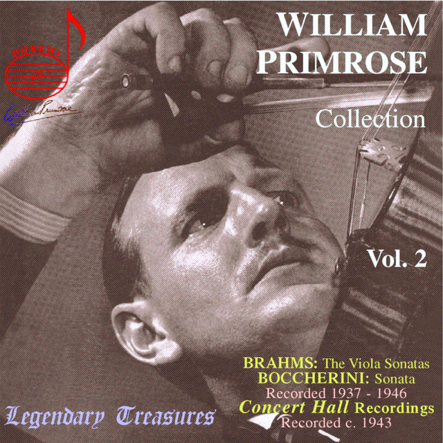 Clarinet Sonata No. 1 in F Minor, Op. 120 No. 1 (Version for Viola & Piano): III. Allegretto grazioso