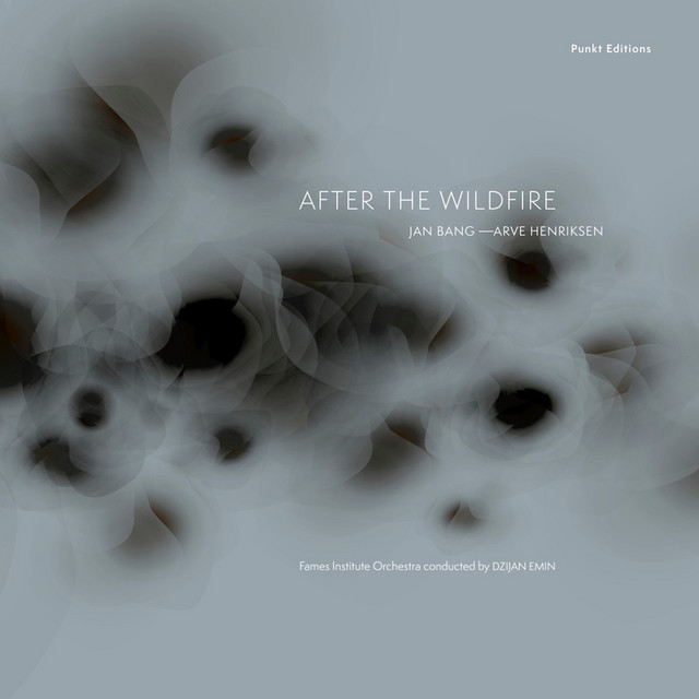 After the Wildfire