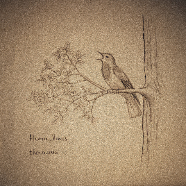 Homo Novus Photo