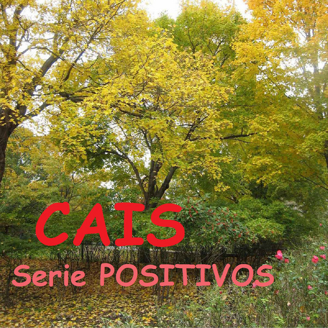 Série Positivos cover art