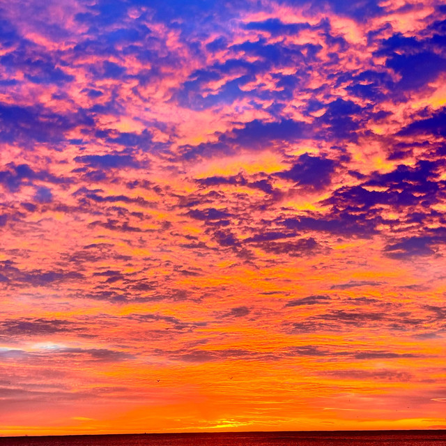sol