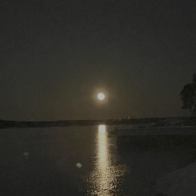 Moonlight