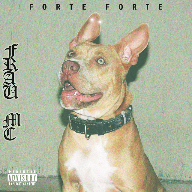 Forte Forte