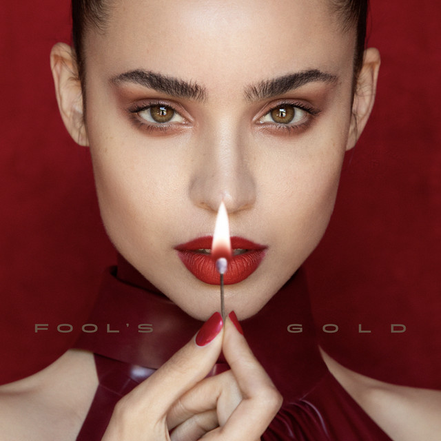 Fool's Gold cover art