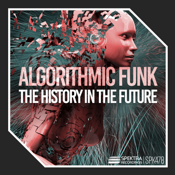The History In The Future cover