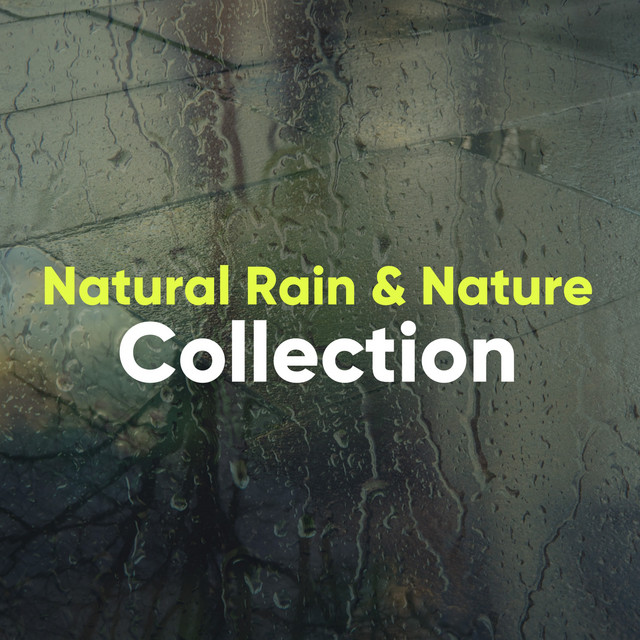 Natural Rain & Nature Collection - Compilation by Various Artists | Spotify