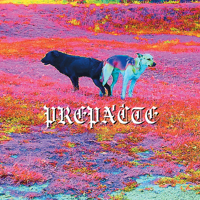 Prepáčte cover art