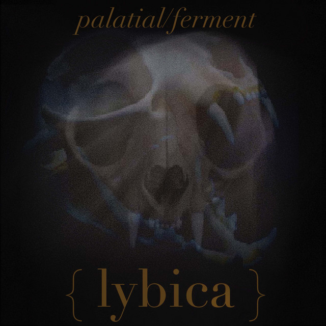 Palatial / Ferment (single)