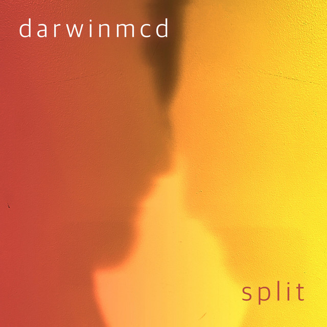 Split cover art