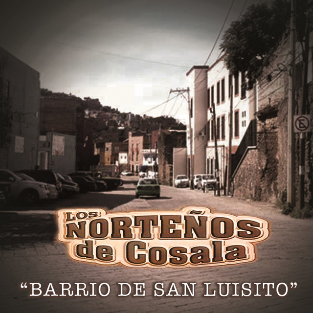Barrio de San Luisito (En Vivo) cover art