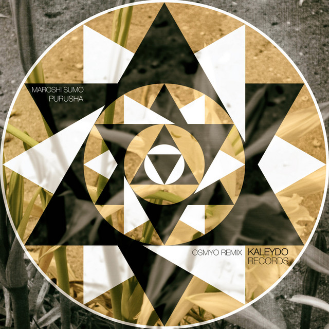 Purusha (Osmyo Remix) cover