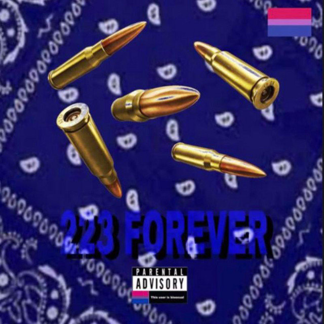 223 FOREVER cover art