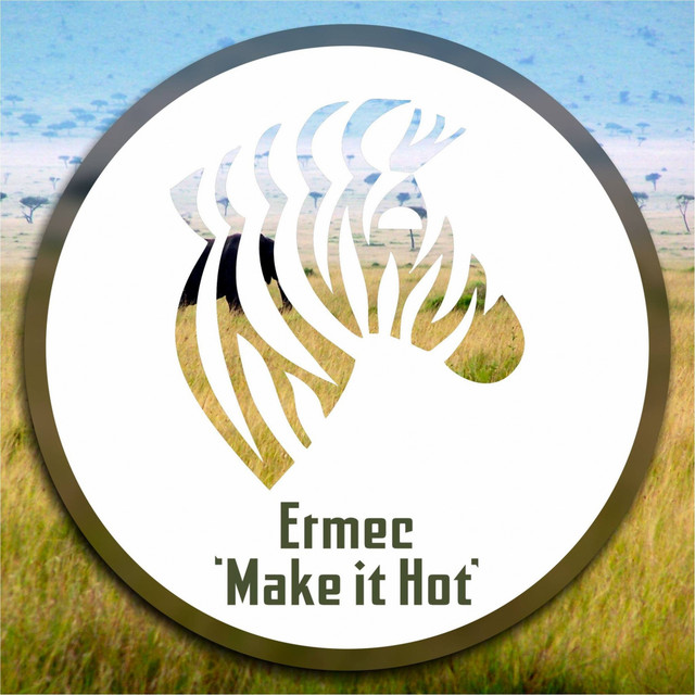 Make It Hot cover art