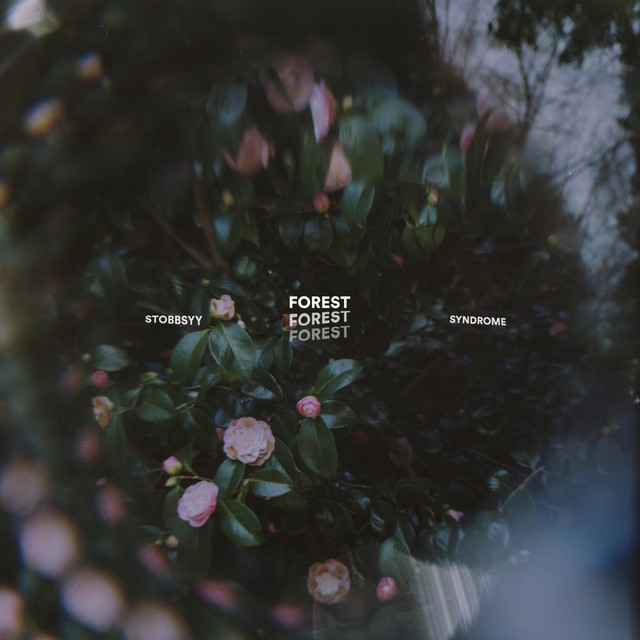 Forest (single)