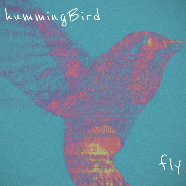 Hummingbird Photo
