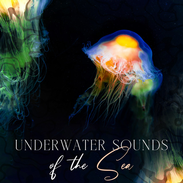 Underwater Sounds of the Sea - Album de Pro Sound Effects Library | Spotify