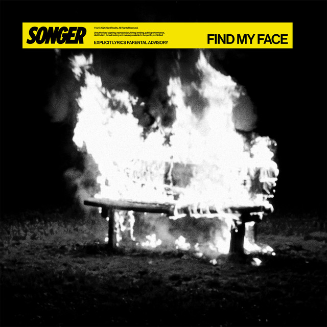 FIND MY FACE cover art