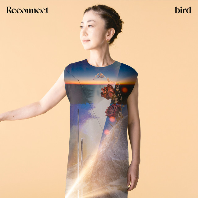 Reconnect cover art