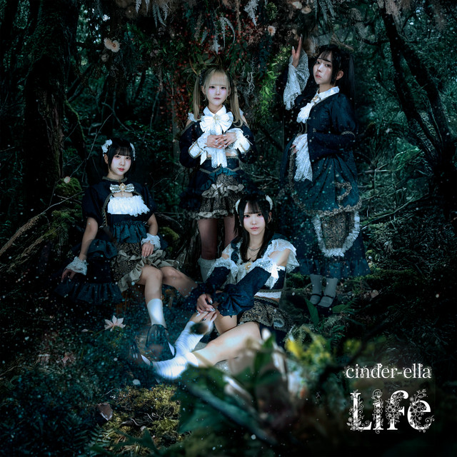 Life cover art