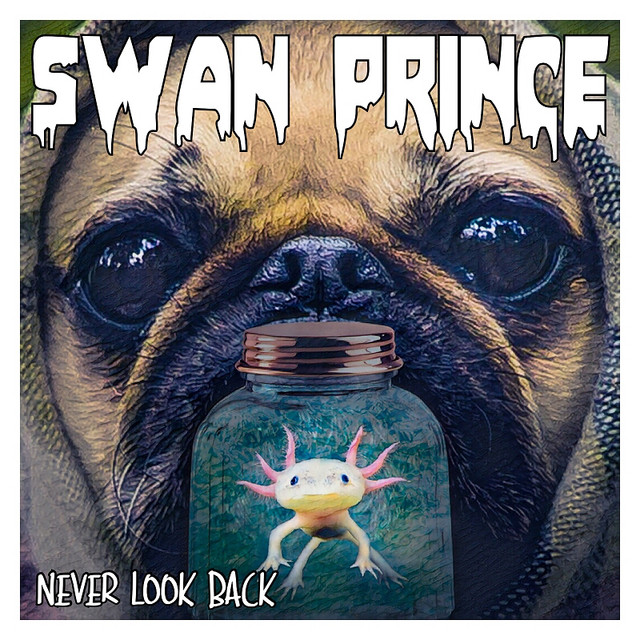 Never Look Back cover
