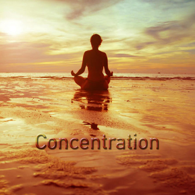 Concentration cover art