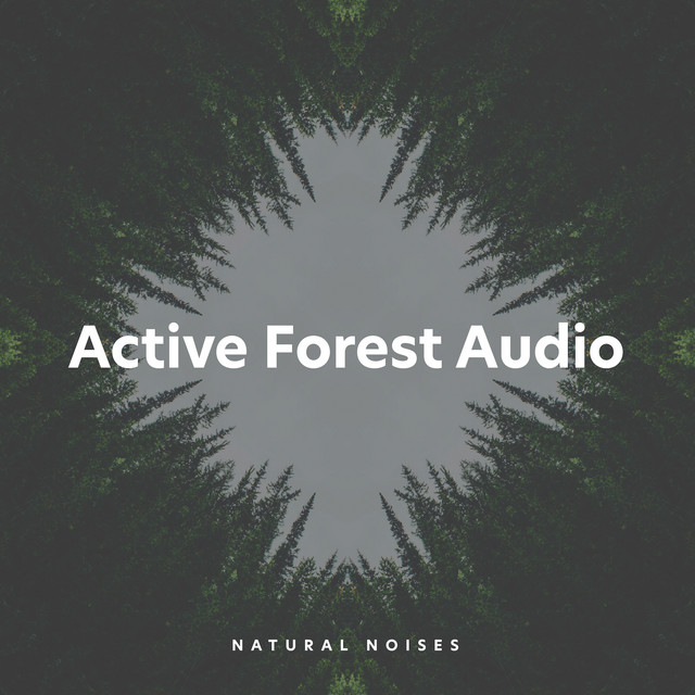 Active Forest Audio cover art