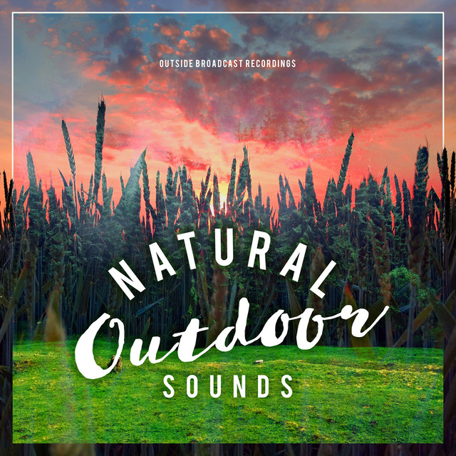 99 Natural Outdoor Sounds cover art
