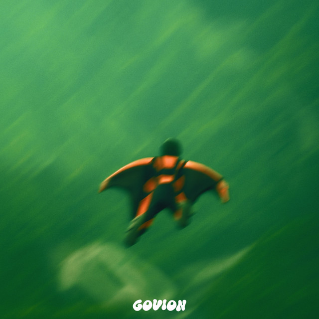 What If You Fly?