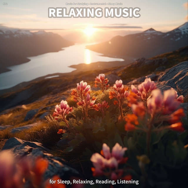 #01 Relaxing Music for Sleep, Relaxing, Reading, Listening cover art
