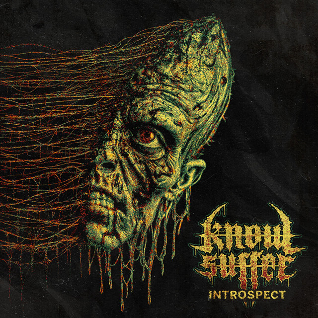 Introspect cover art
