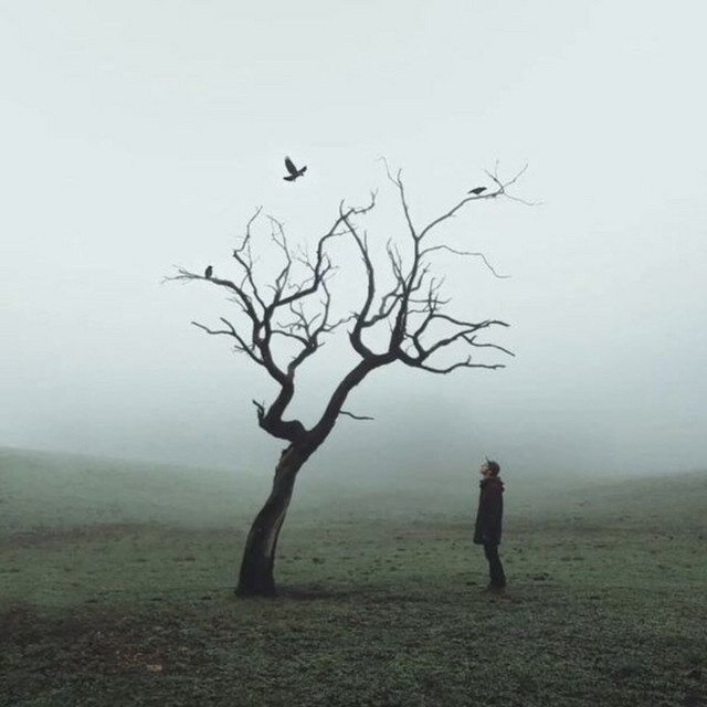 Parent Issues cover art