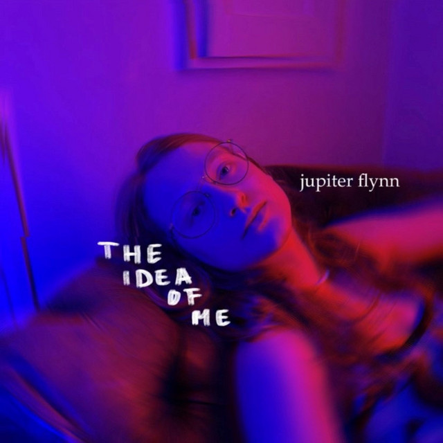 Pochette du titre the idea of me