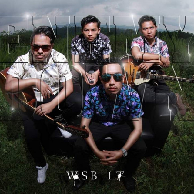 Wsb 17' cover art