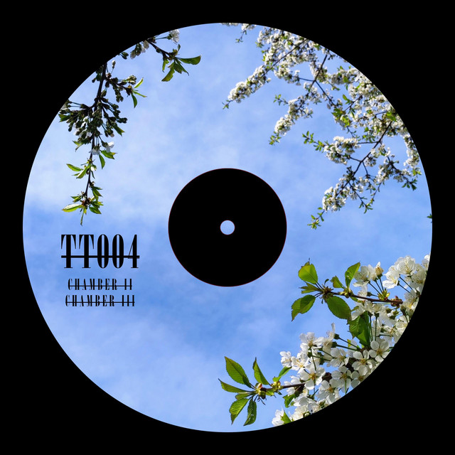 Two-Tracker 004 - EP by TiGr | Spotify