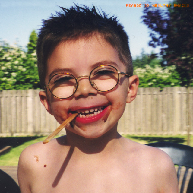 Healthy Snacks cover art
